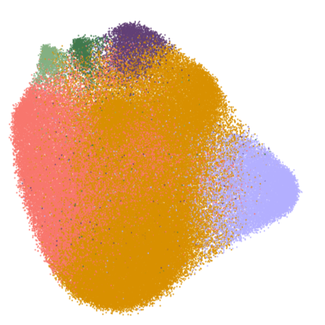 ALS FTD Microglia