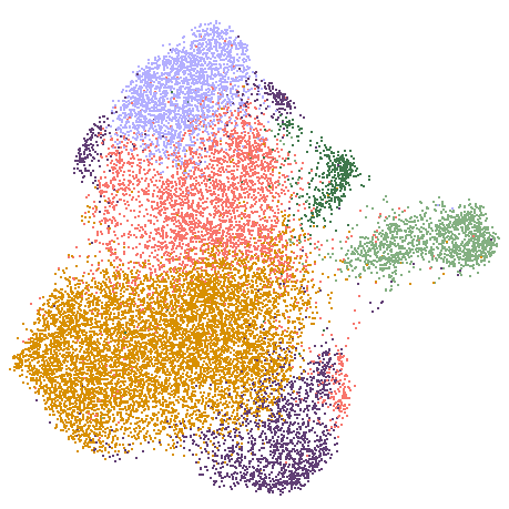 ALS Microglia