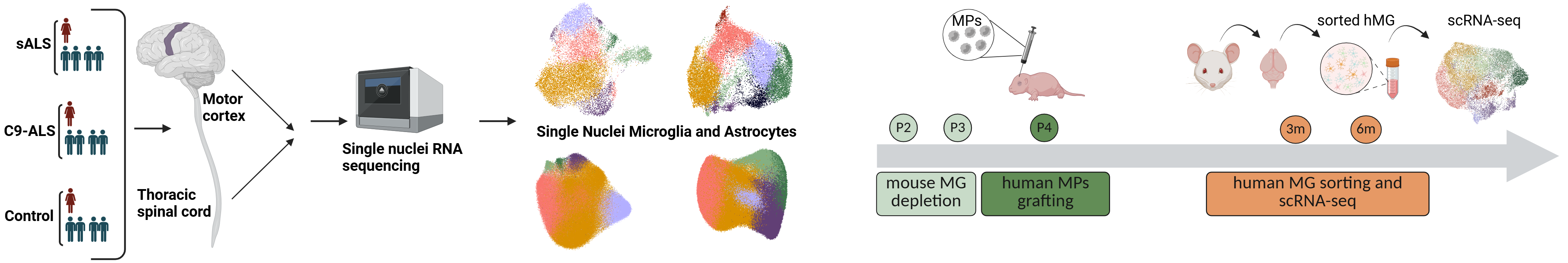 Design dataset2