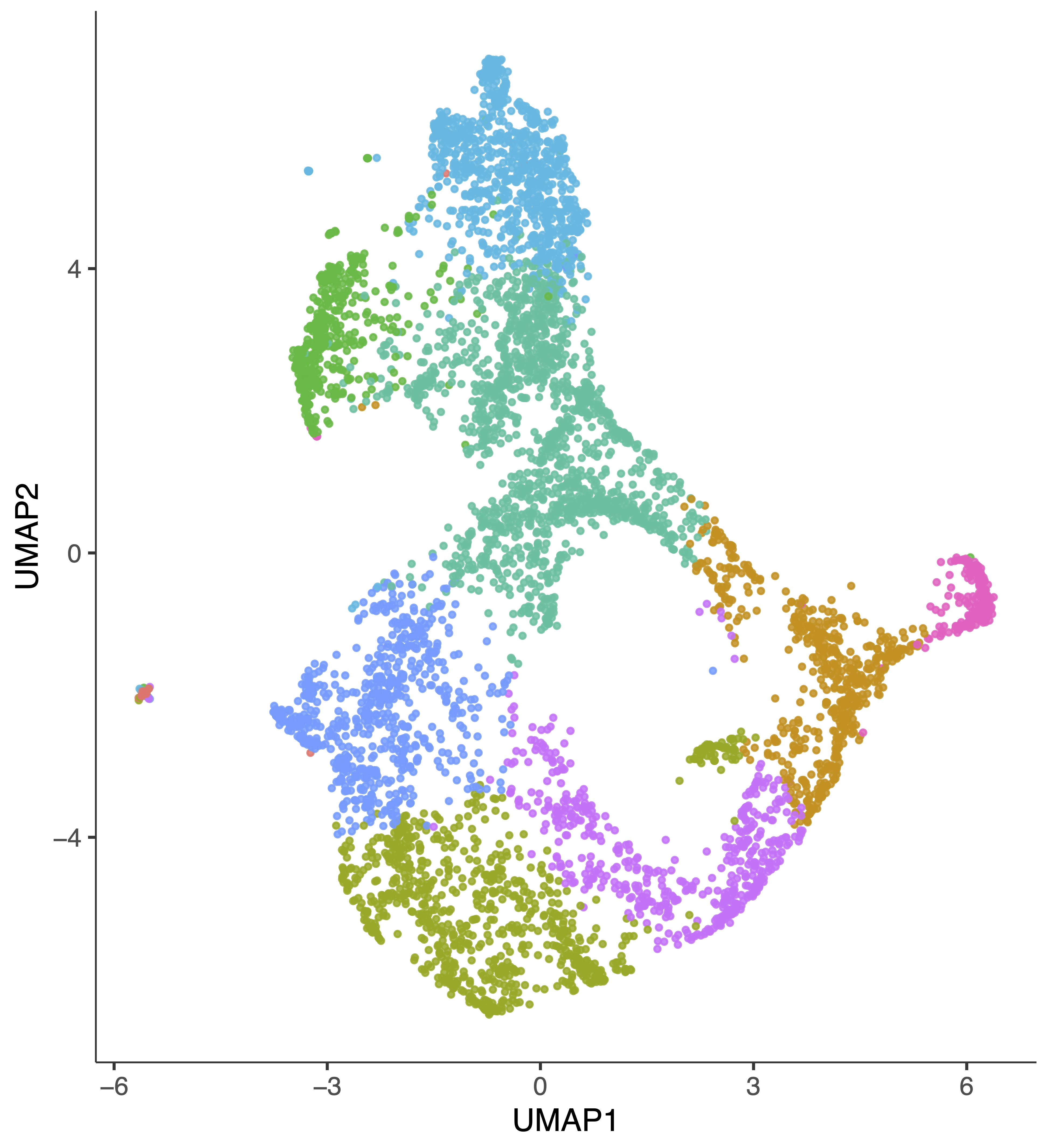 mouse microglia clusters